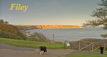 Click to go to Filey page