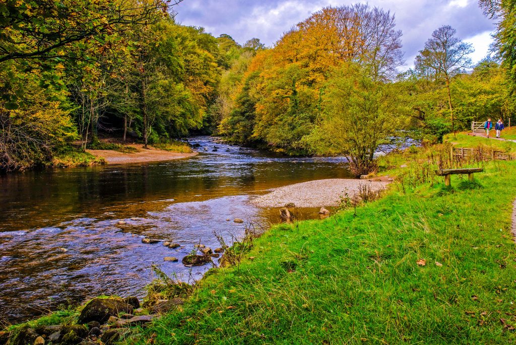 Bolton Abbey and River Wharfe