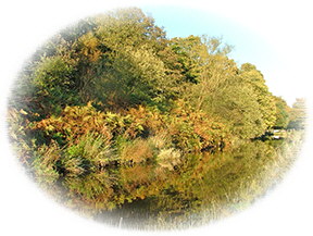 The banks of the canal in the Colne Valley resplendent in their early autumnal colours