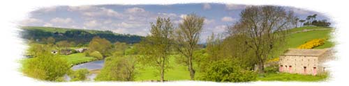 Picture of Green fields and wide skies of Wensleydale in the Yorkshire Dales