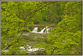 Aysgarth-Upper-Falls-PeepingFramed