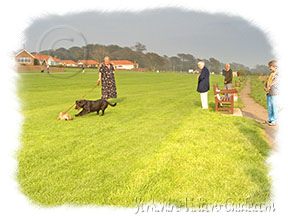 Picture of the fine swathe of grass along the clifftop walk from Bridlington to Sewerby Park