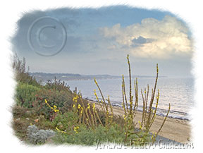 Picture of North Beach looking out to Flamborough Head
