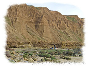 Picture of the sculpted cliffs after numerous landslips